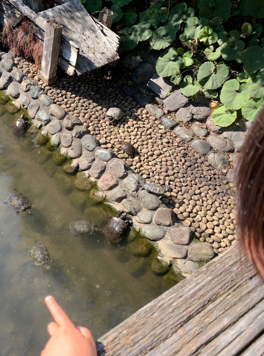 クリックで拡大(撮影:中野龍三)。