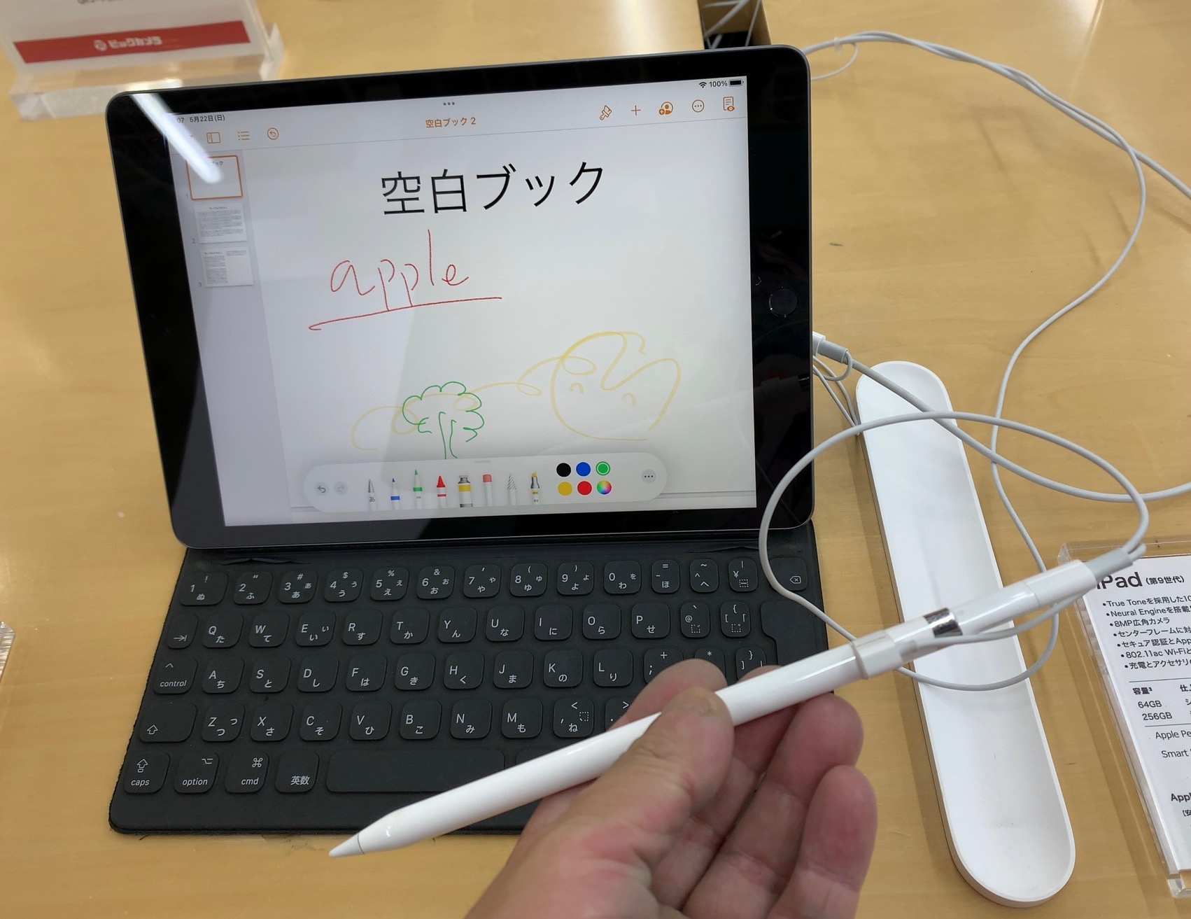 クリックで拡大(撮影:中野龍三)。
