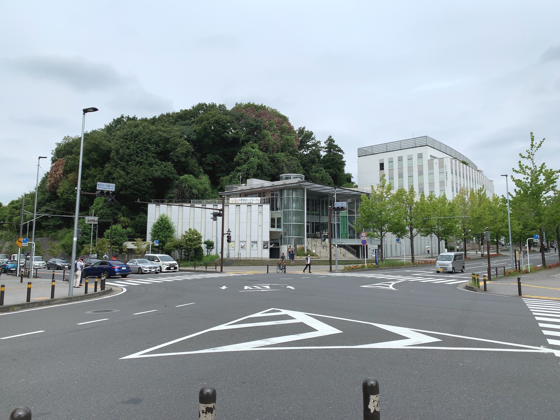 クリックで拡大(撮影:中野龍三)。