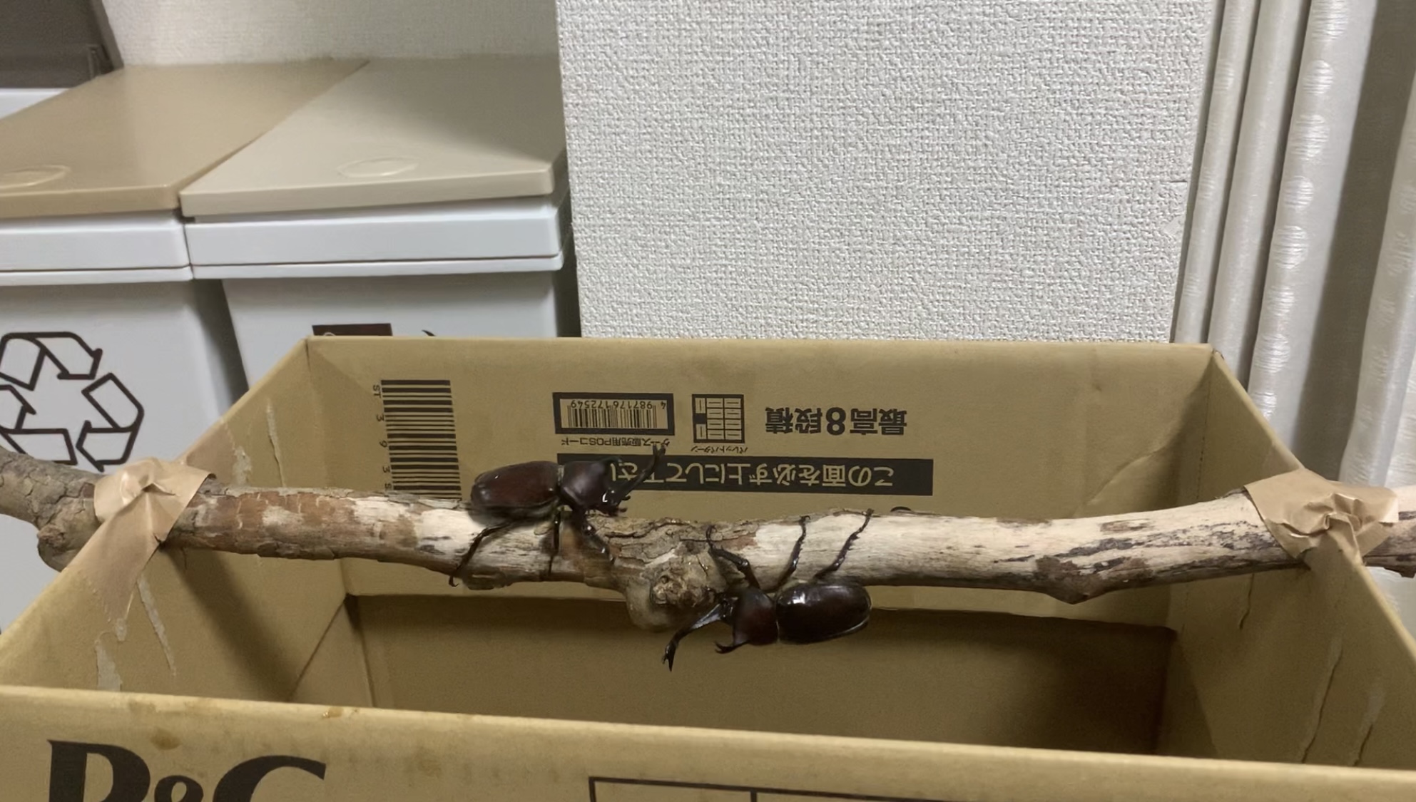 クリックで拡大(撮影:中野龍三)。