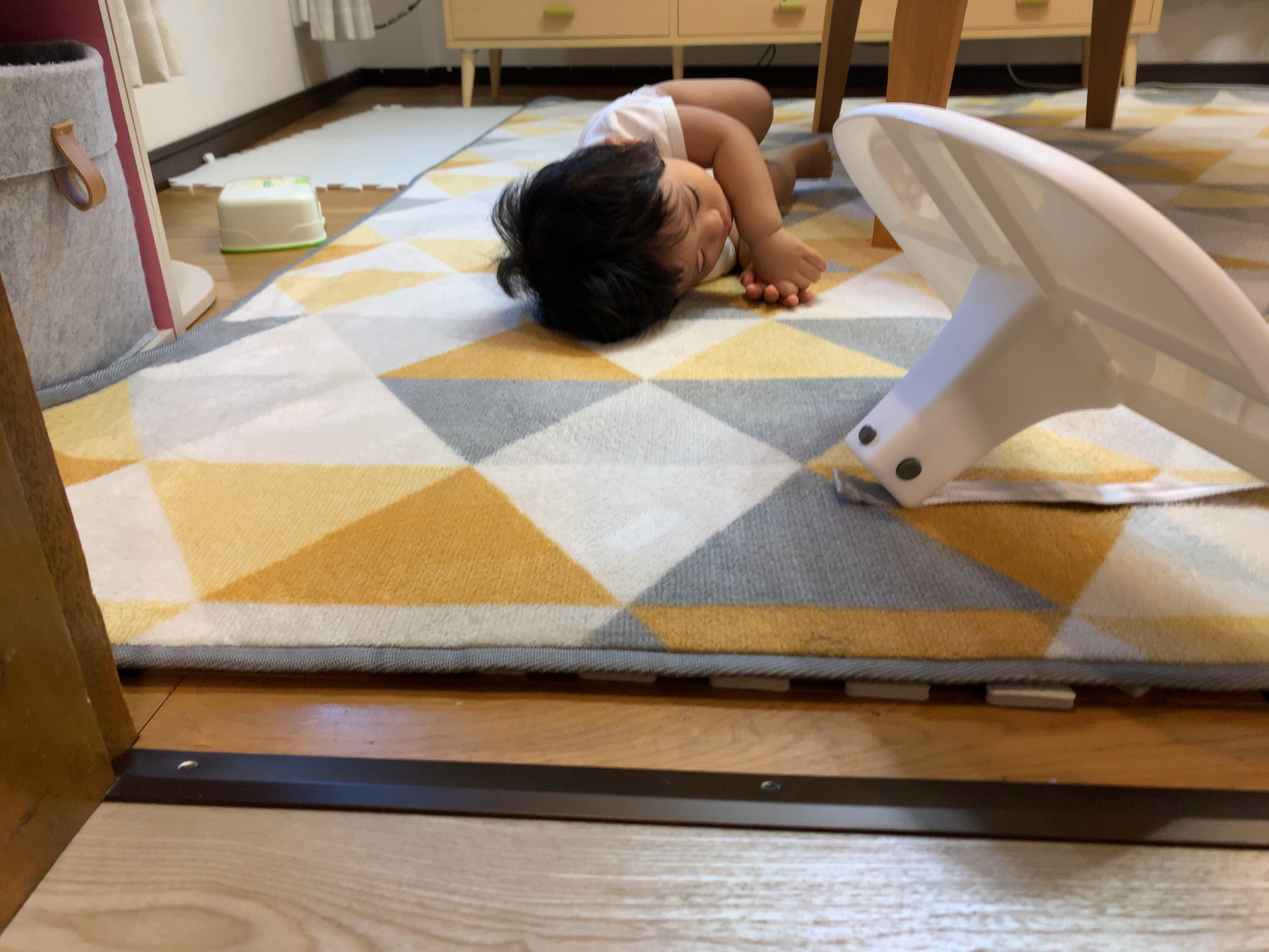 クリックで拡大(撮影:中野龍三)。