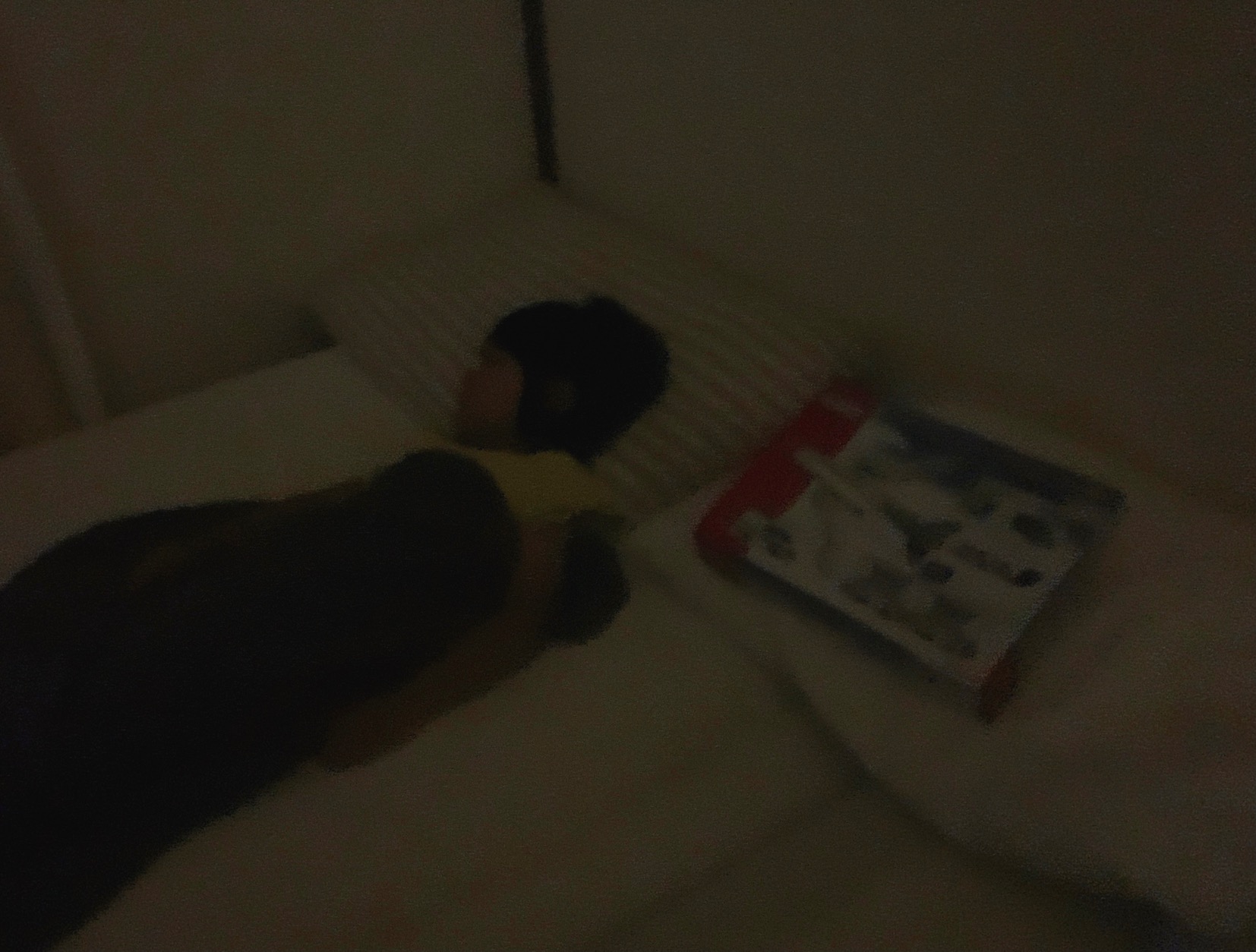 クリックで拡大(撮影:中野龍三)。