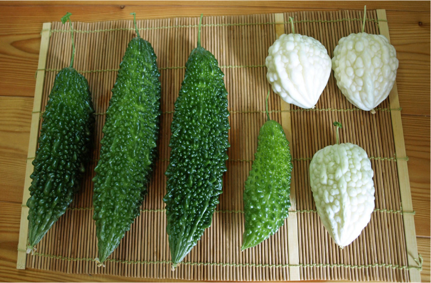 クリックで拡大。