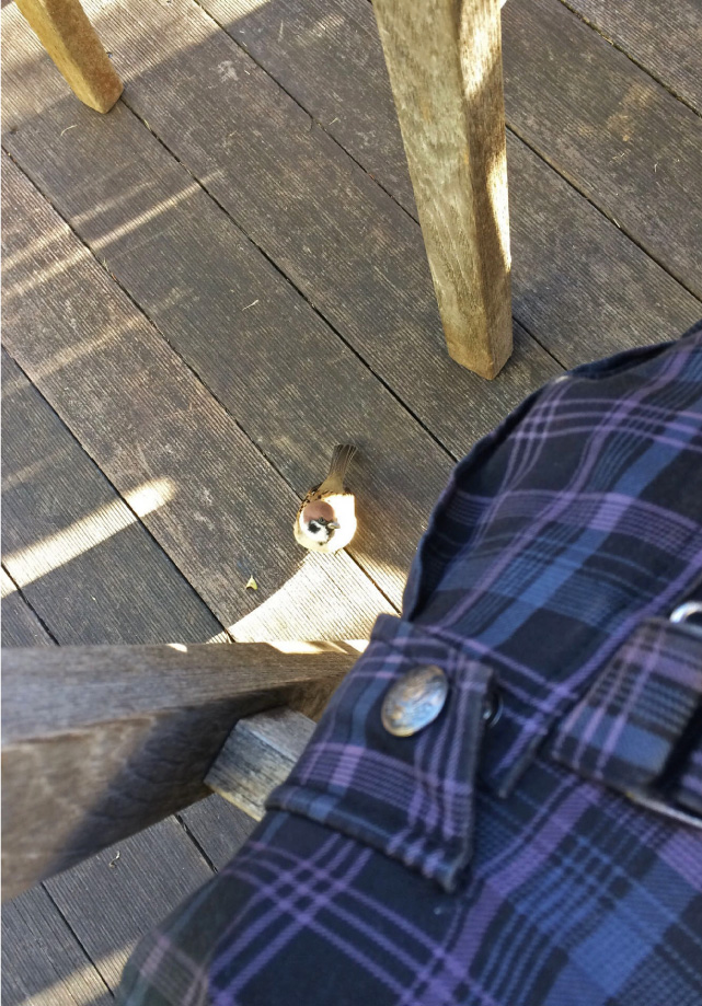 クリックで拡大。