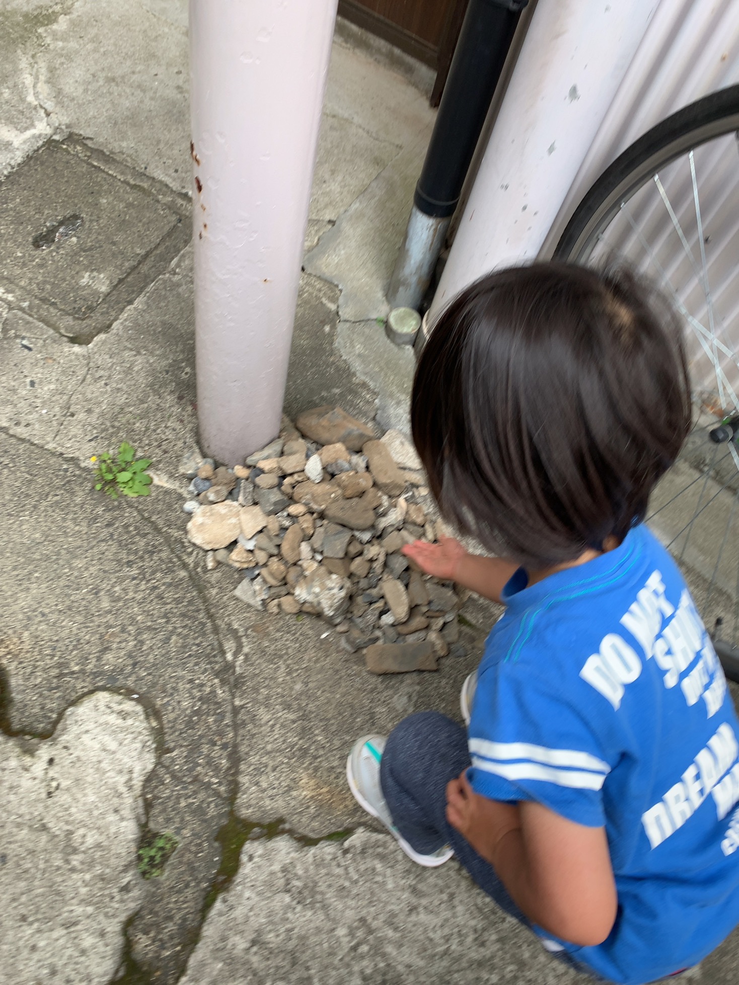 クリックで拡大(撮影:中野龍三)。