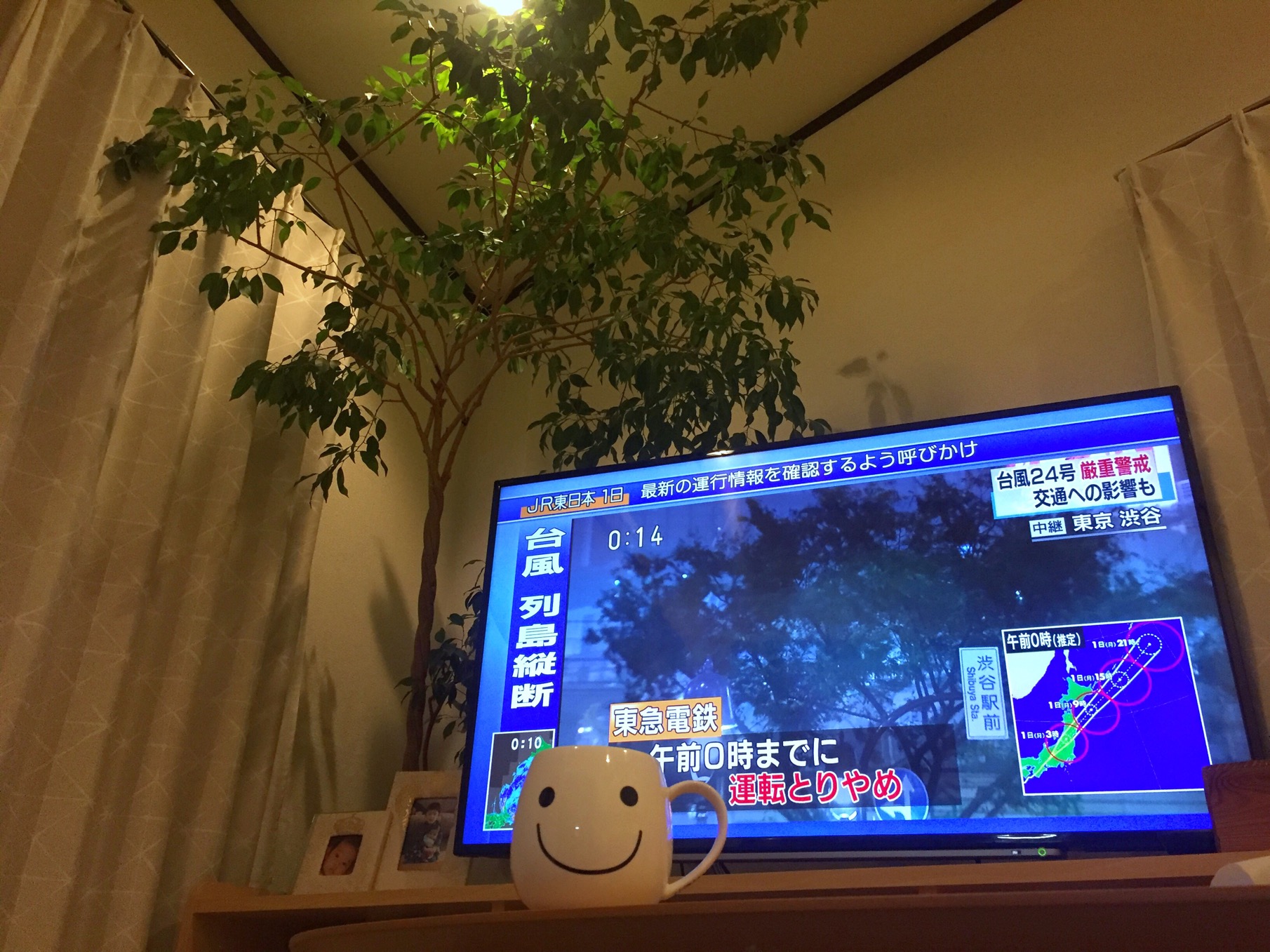 クリックで拡大(撮影:中野龍三)。