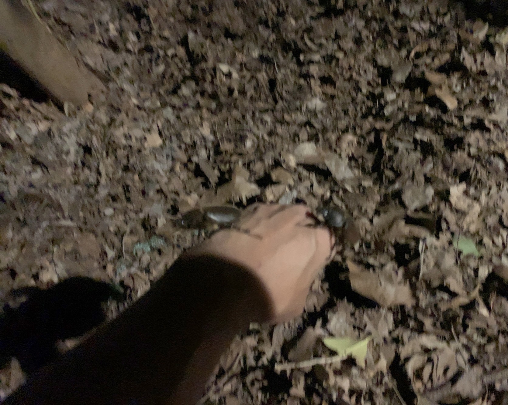 クリックで拡大(撮影:中野龍三)。