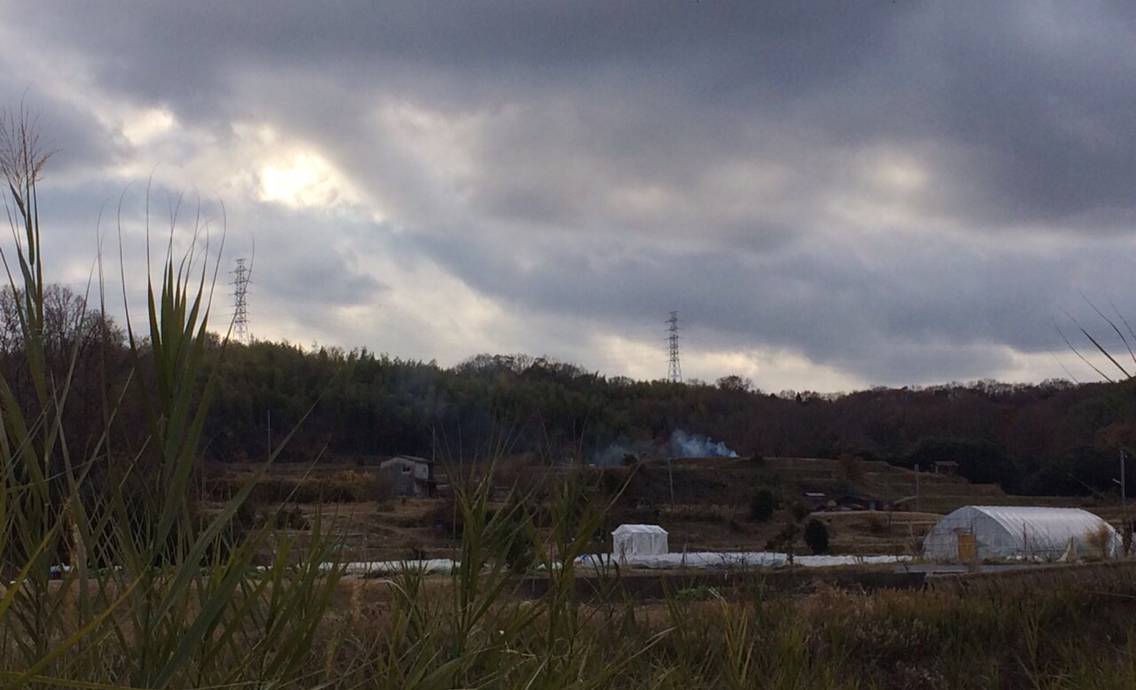 クリックで拡大。