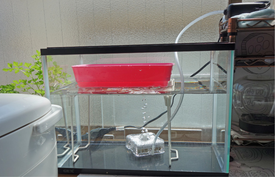 実にシンプル スプラウトの水耕栽培装置を自作した 中野龍三web