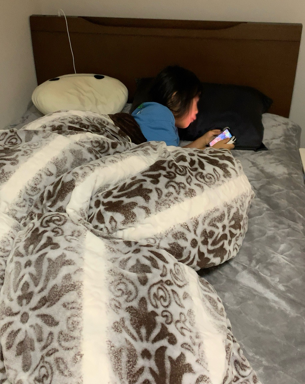 クリックで拡大(撮影:中野龍三)。