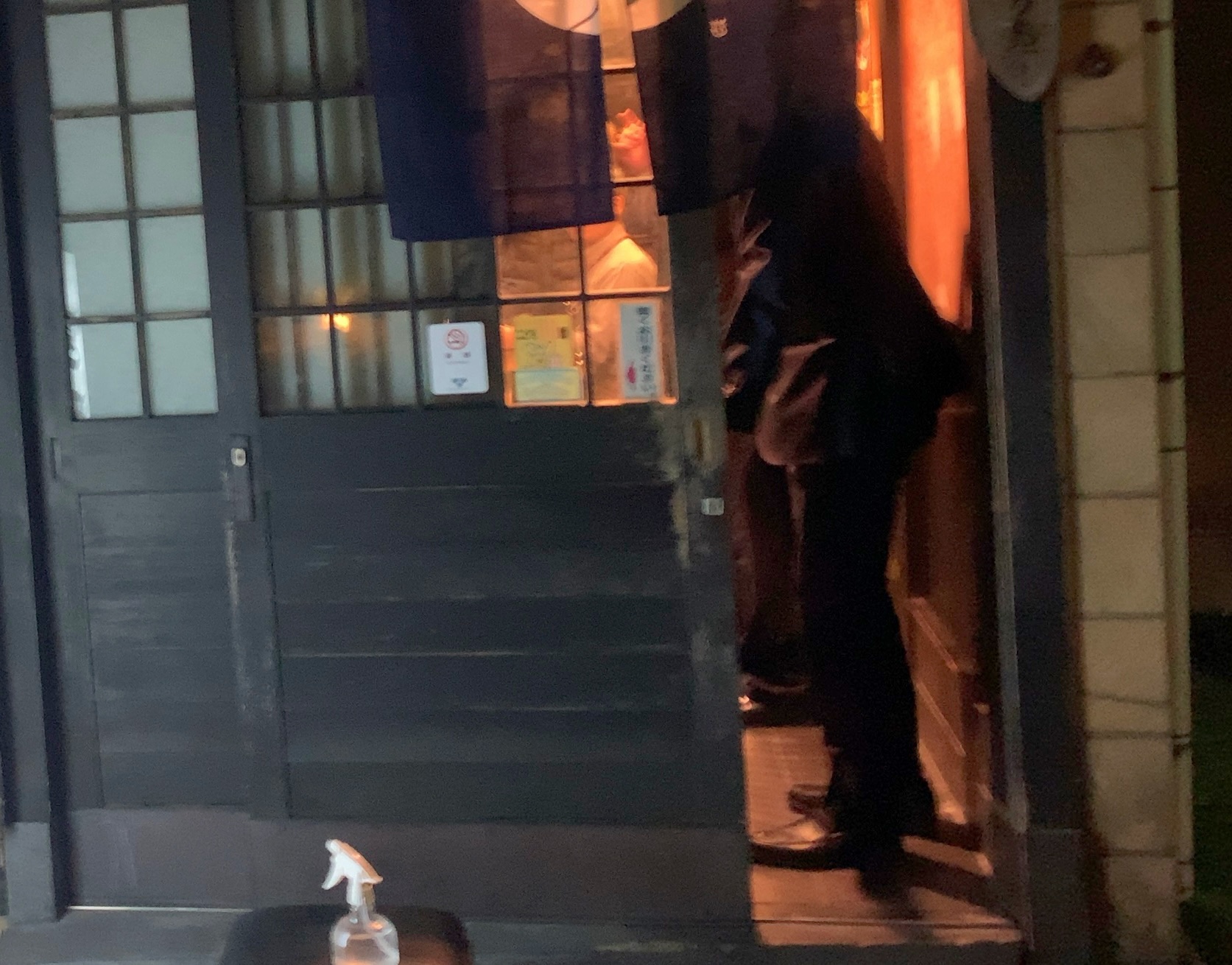 クリックで拡大(撮影:中野龍三)。