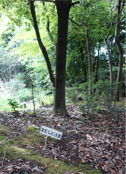 クリックで拡大(撮影:中野龍三)。