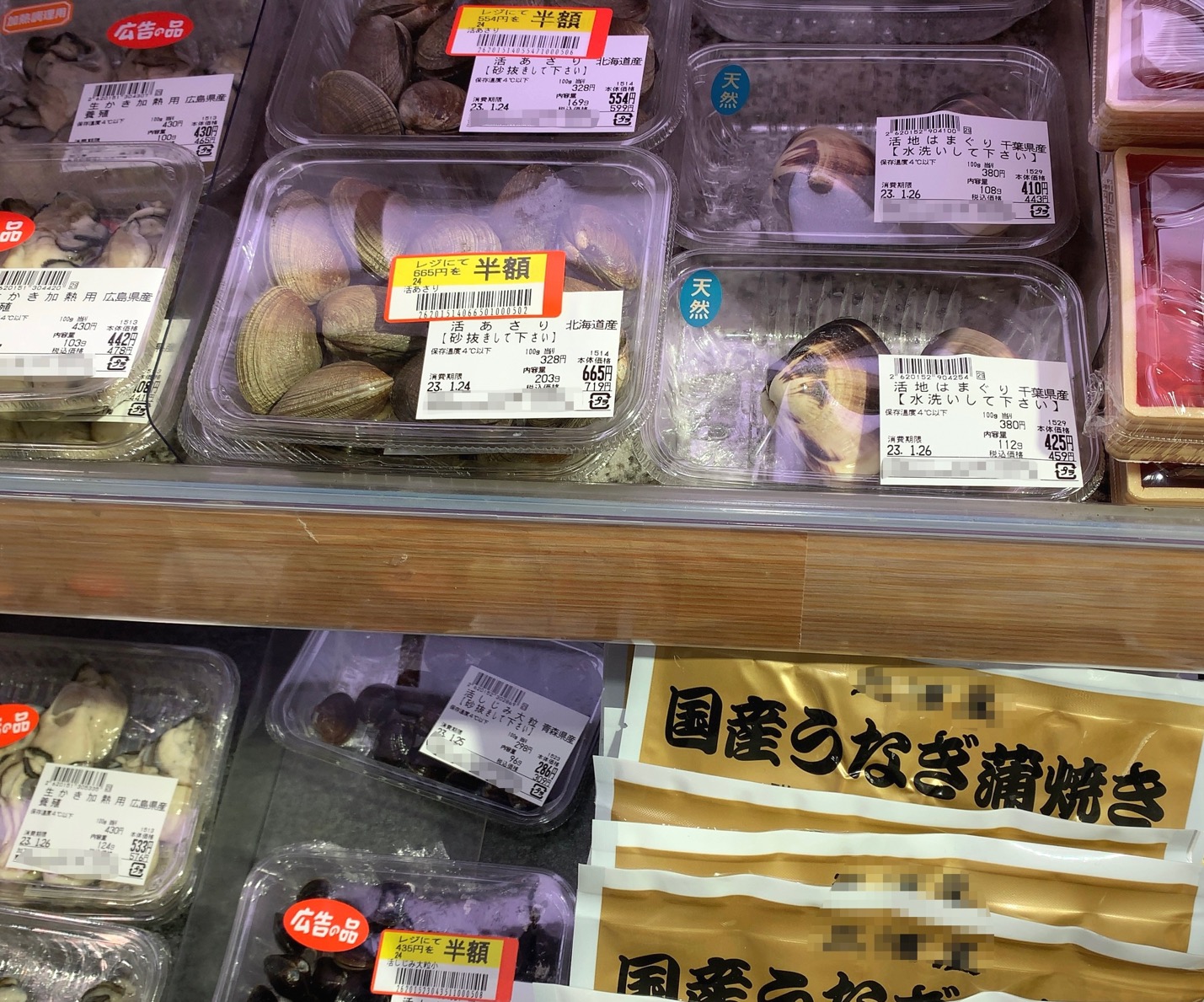 クリックで拡大(撮影:中野龍三)。