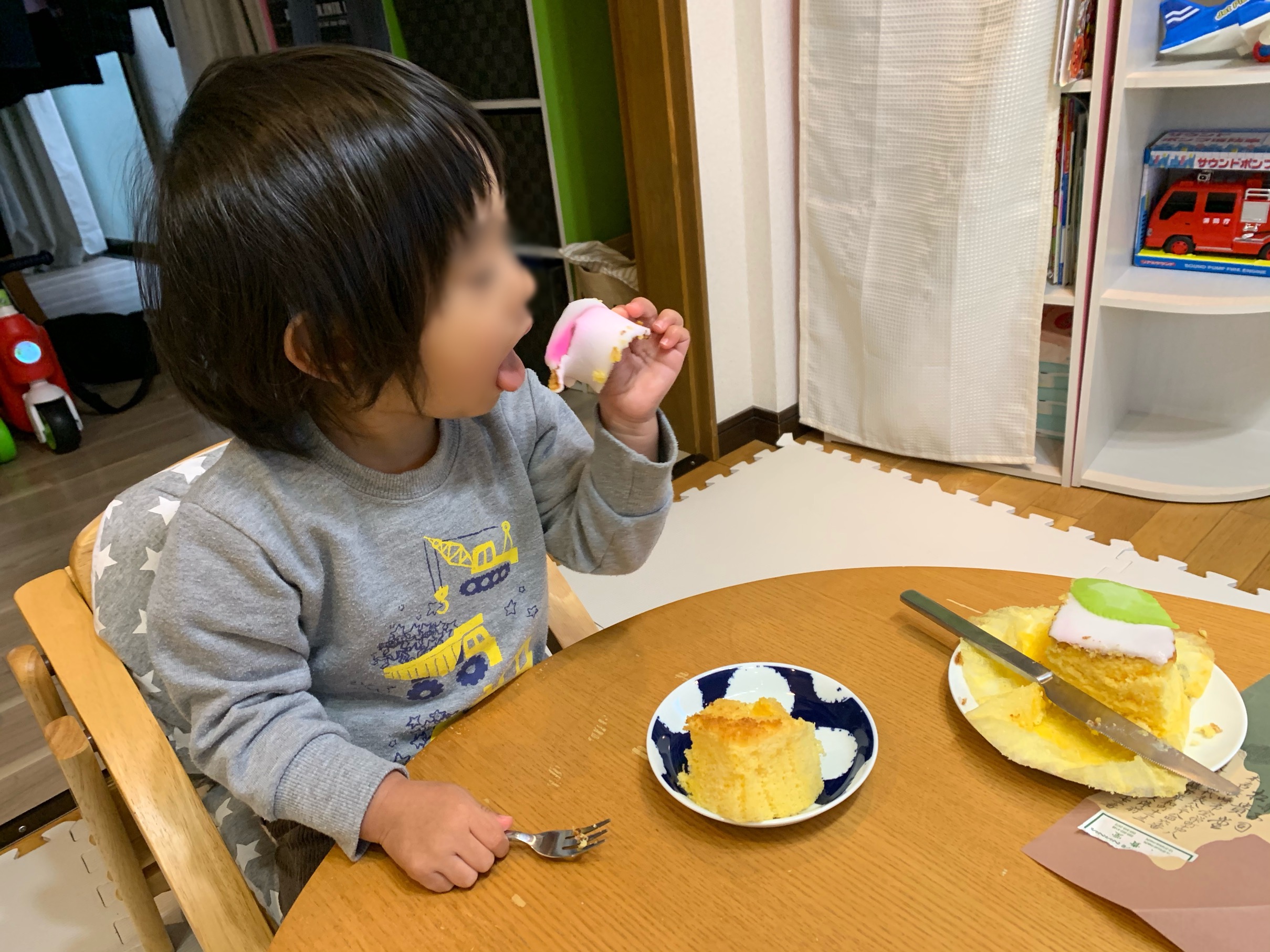 クリックで拡大(撮影:中野龍三)。