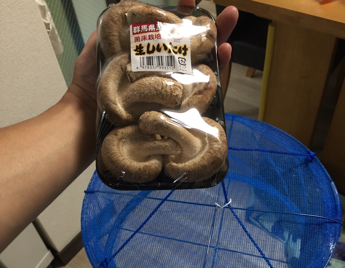 クリックで拡大(撮影:中野龍三)。