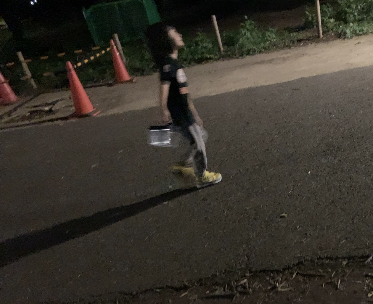 クリックで拡大(撮影:中野龍三)。