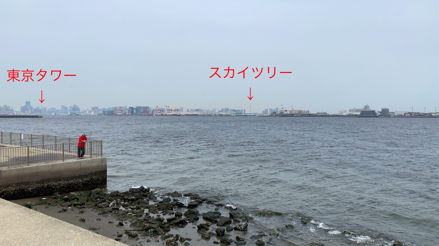 クリックで拡大(撮影:中野龍三)。