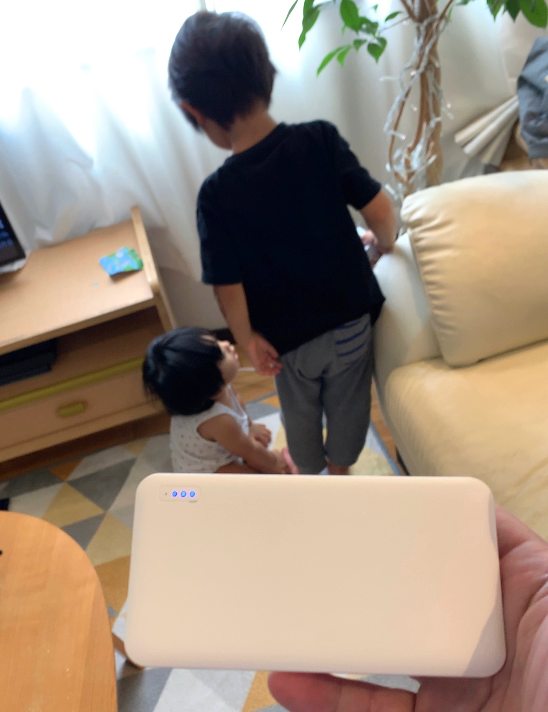 クリックで拡大(撮影:中野龍三)。