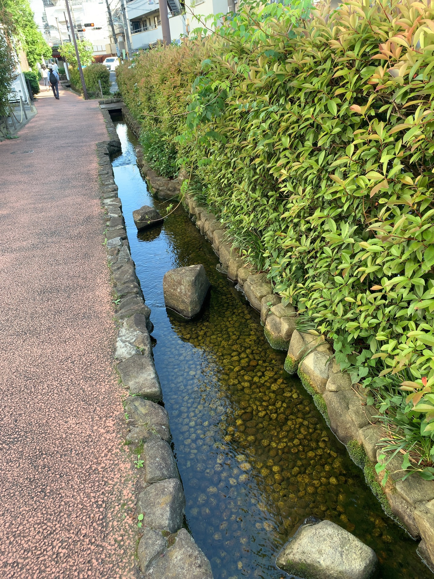 クリックで拡大(撮影:中野龍三)。