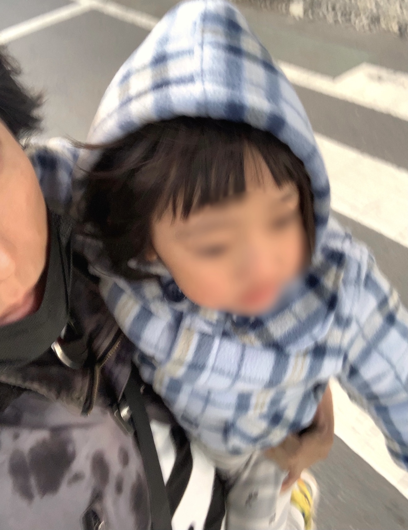 クリックで拡大(撮影:中野龍三)。