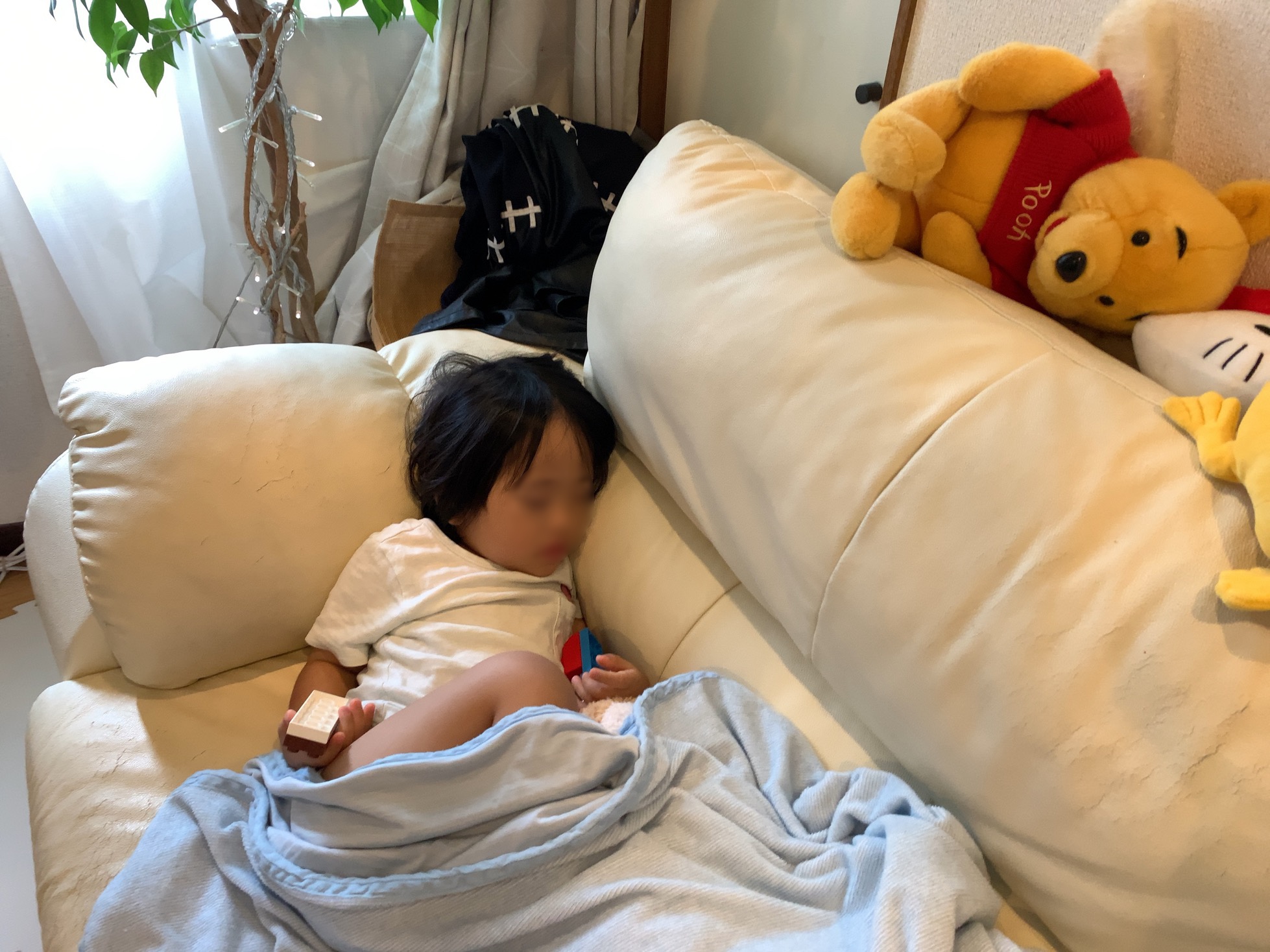 クリックで拡大(撮影:中野龍三)。