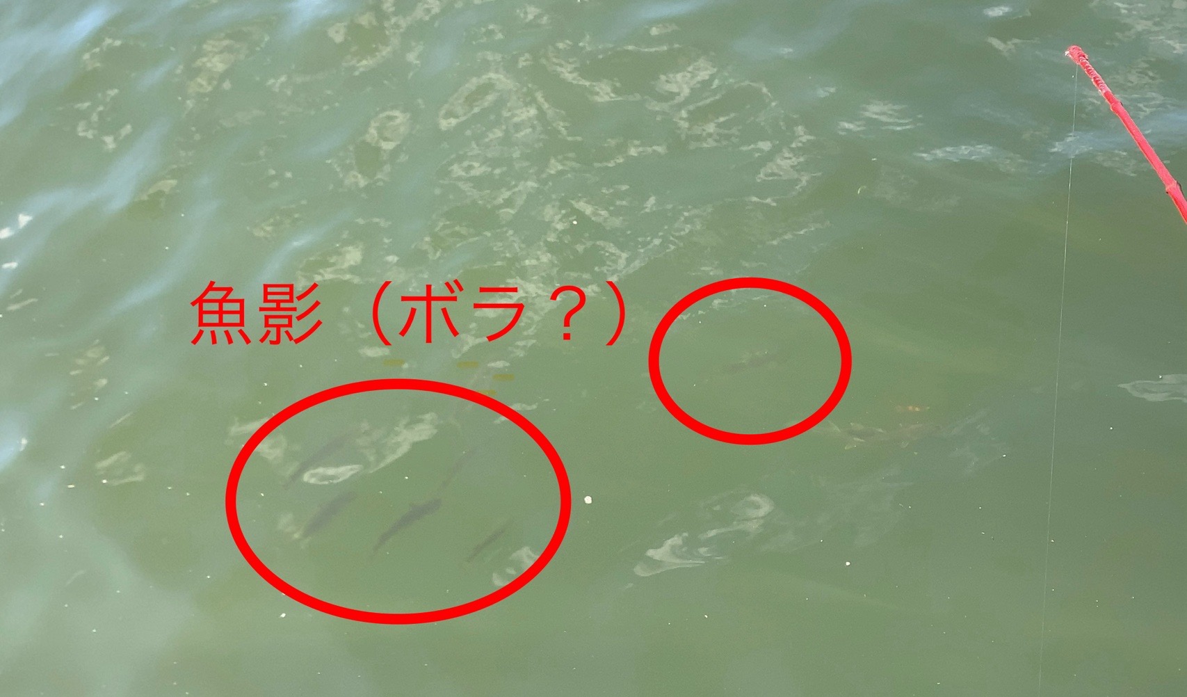 クリックで拡大(撮影:中野龍三)。