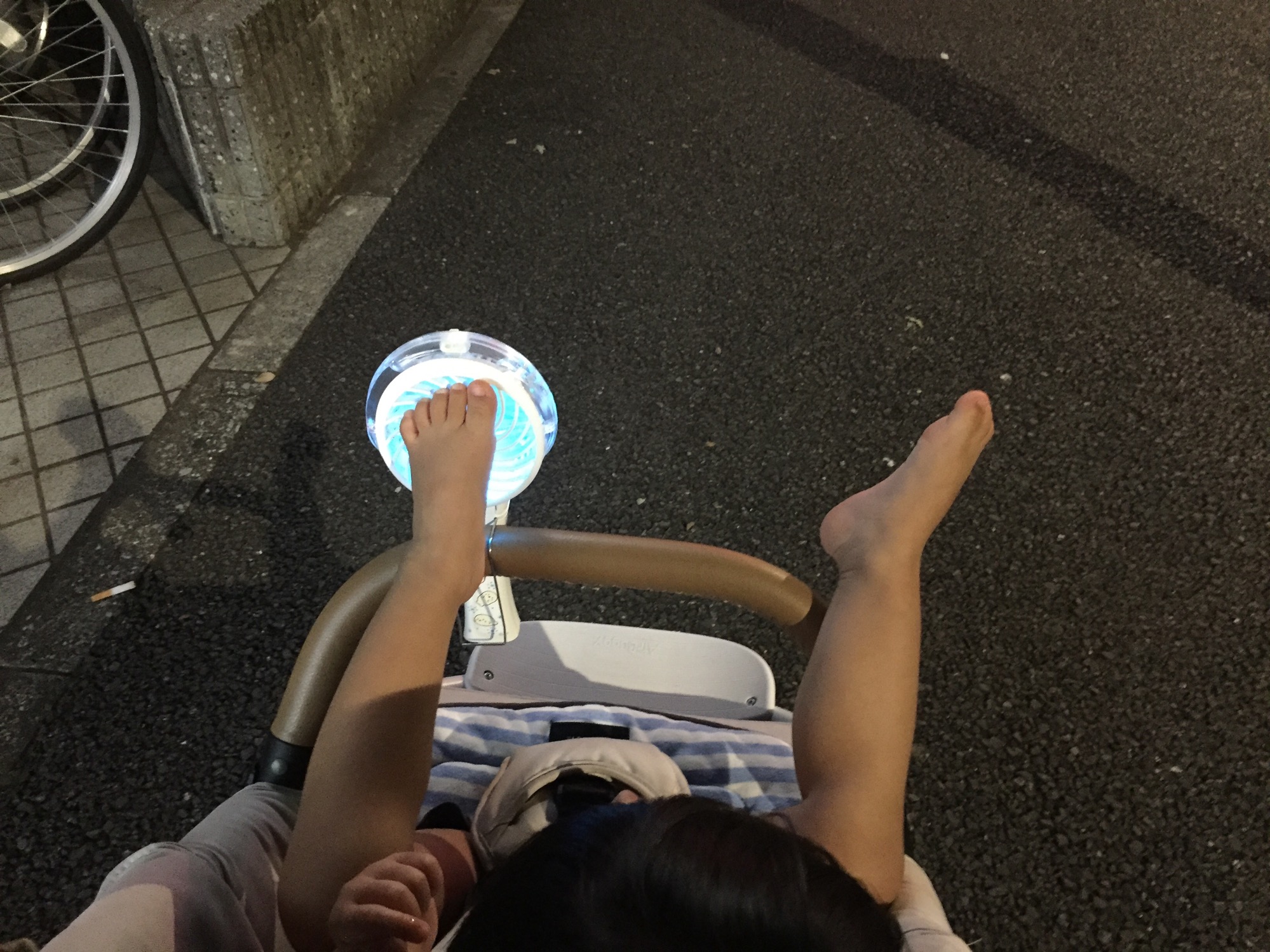 クリックで拡大(撮影:中野龍三)。