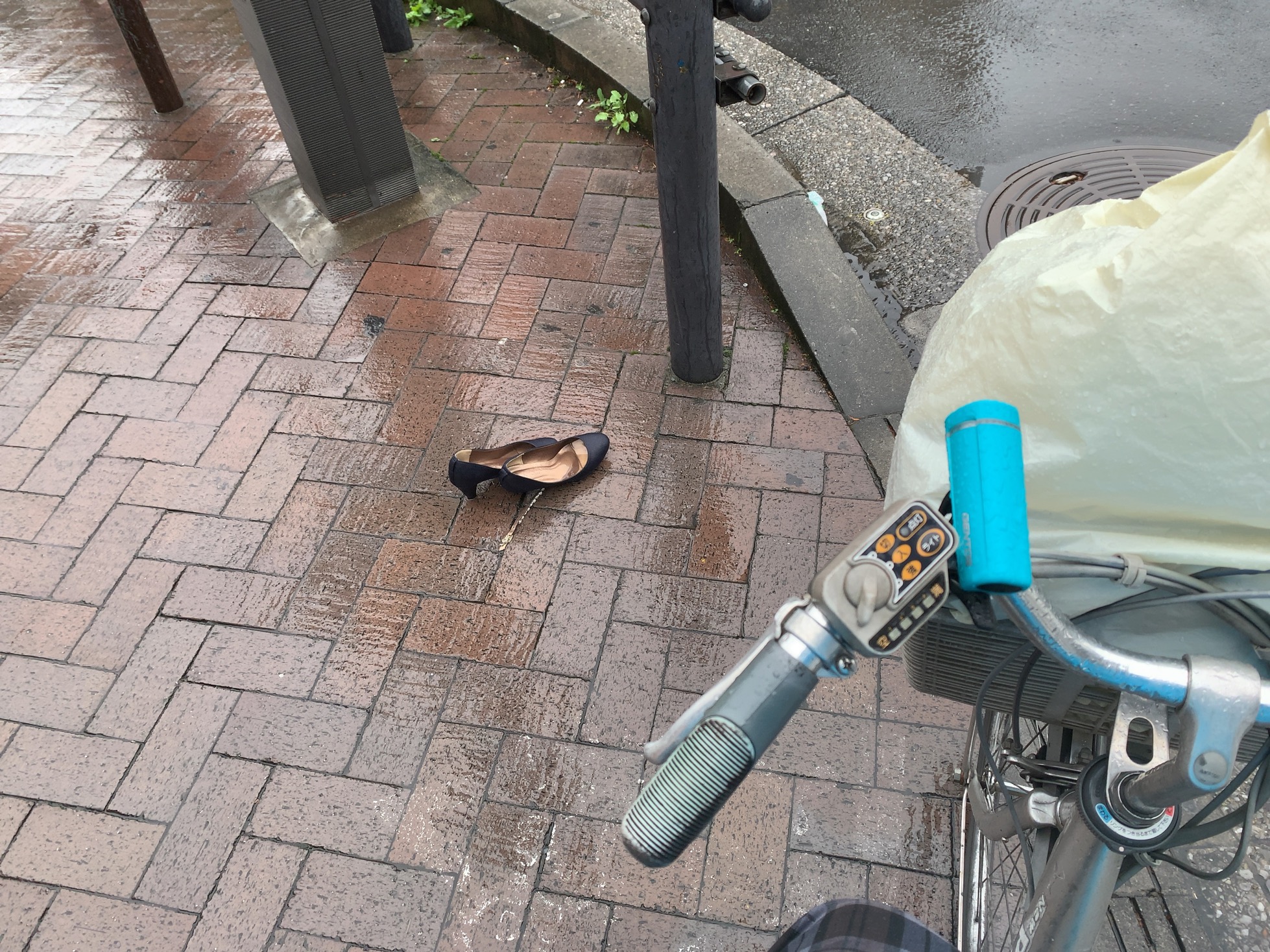 クリックで拡大(撮影:中野龍三)。