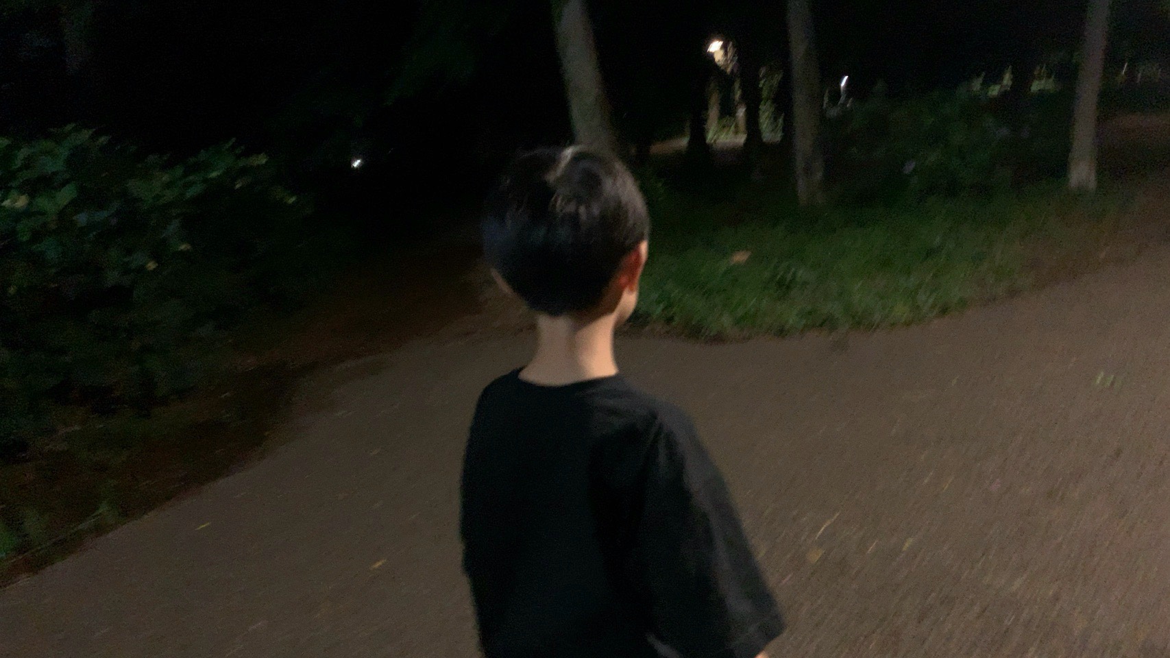クリックで拡大(撮影:中野龍三)。