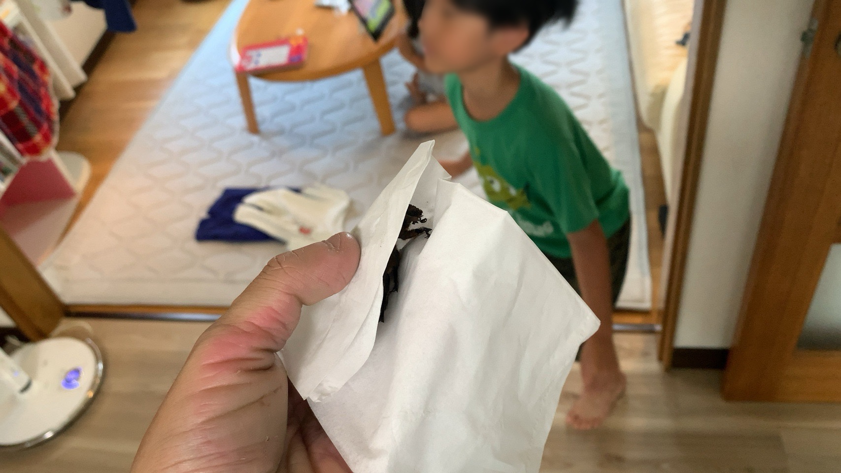 クリックで拡大(撮影:中野龍三)。