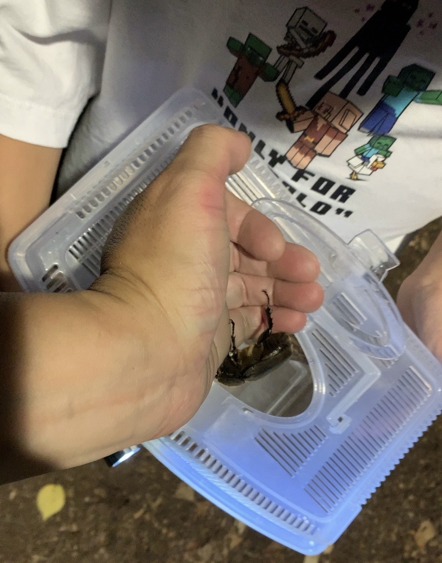 クリックで拡大(撮影:中野龍三)。