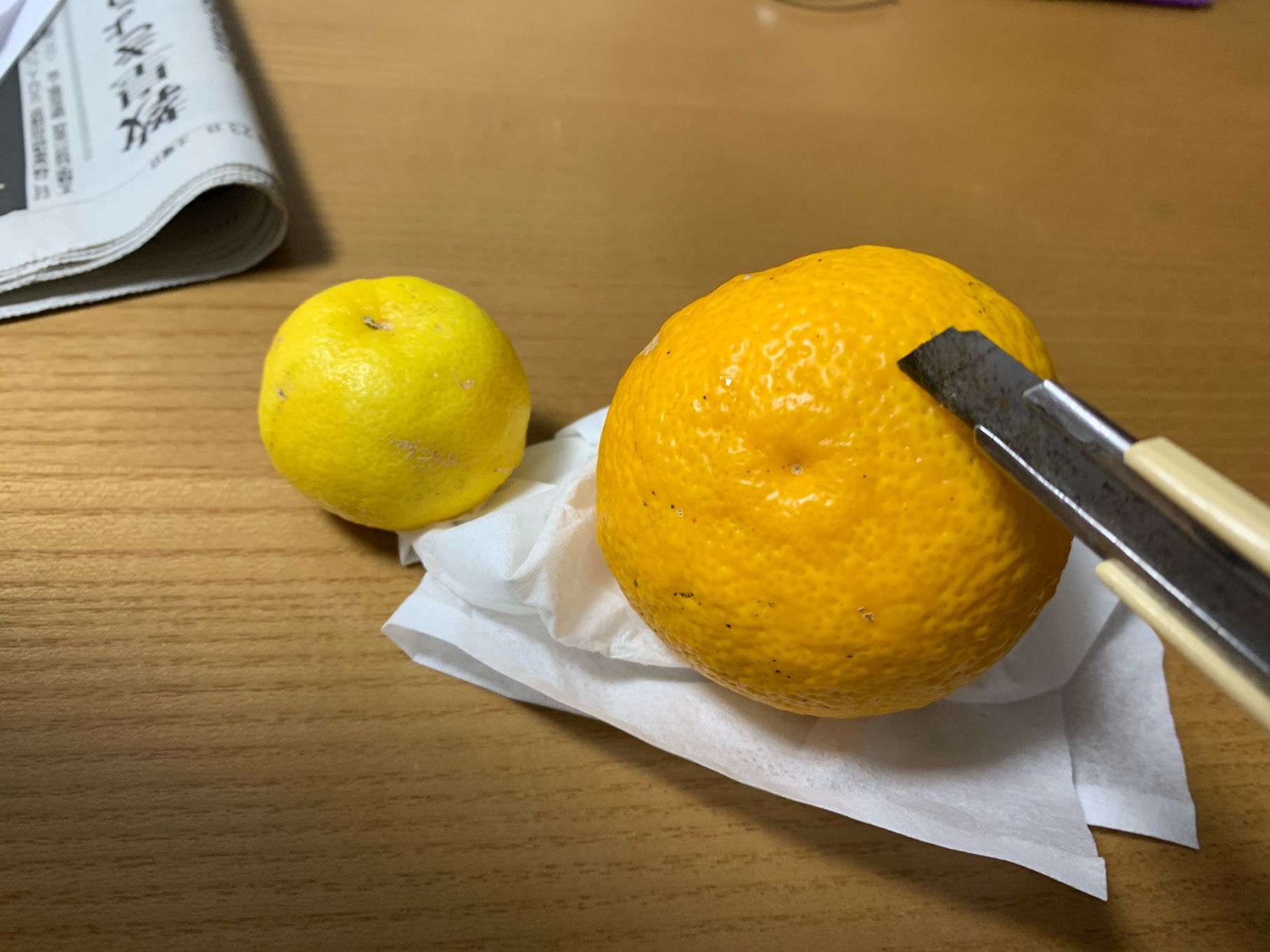 クリックで拡大(撮影:中野龍三)。