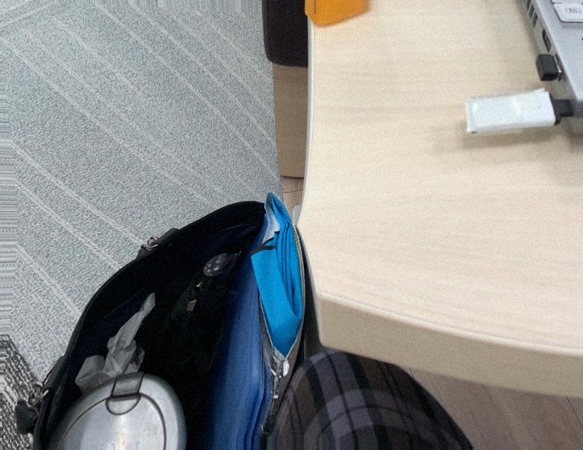 クリックで拡大(撮影:中野龍三)。