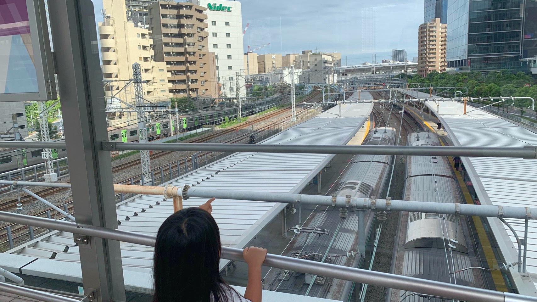 クリックで拡大(撮影:中野龍三)。