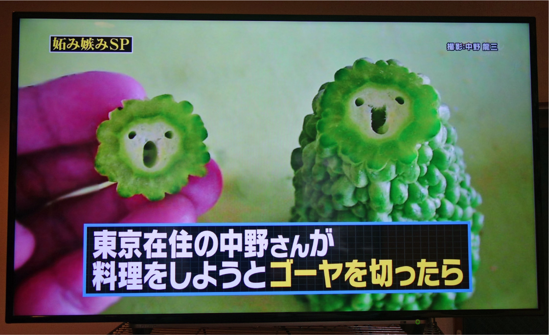 ゴーヤ・撮影:中野龍三