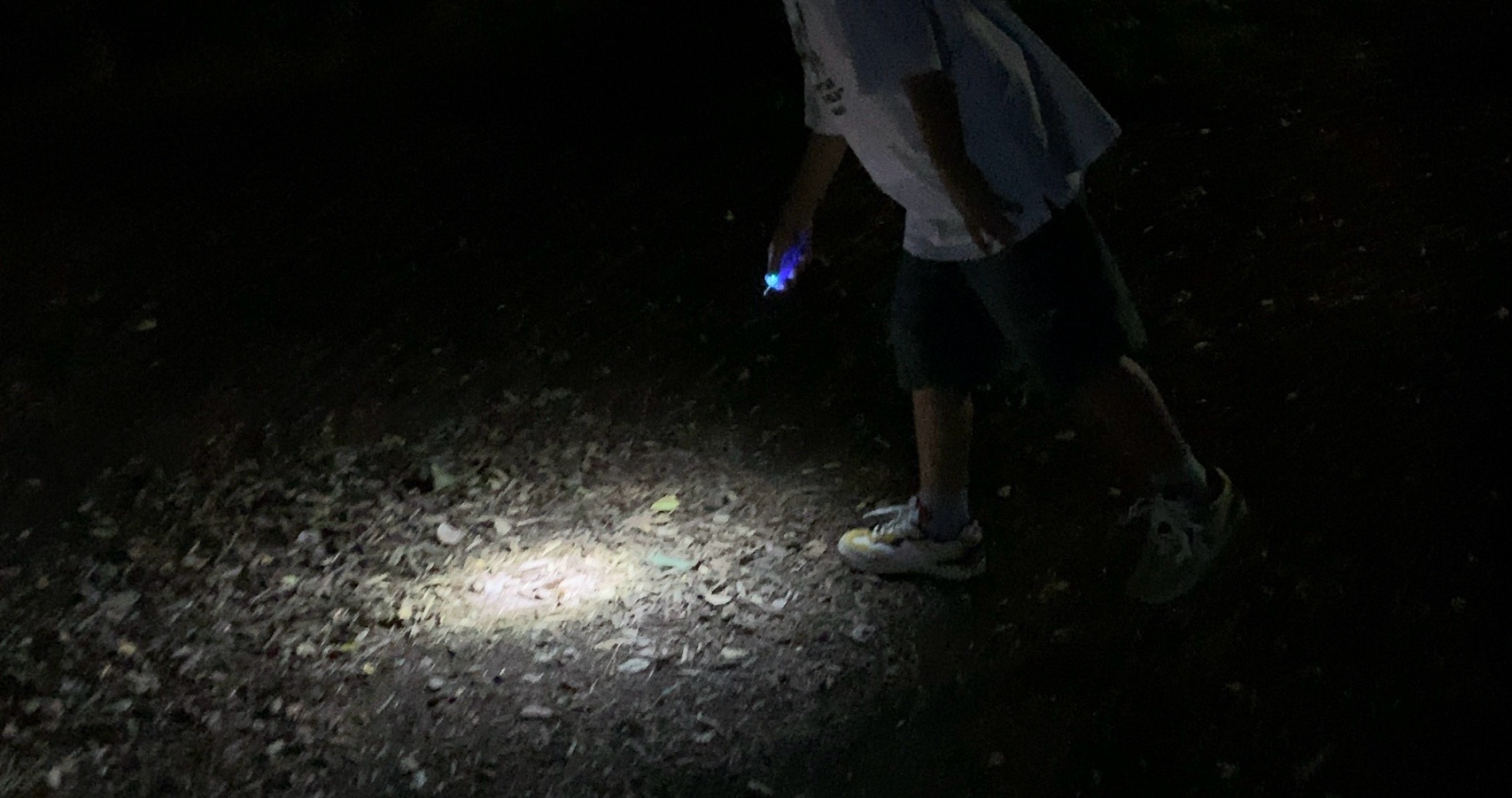 クリックで拡大(撮影:中野龍三)。