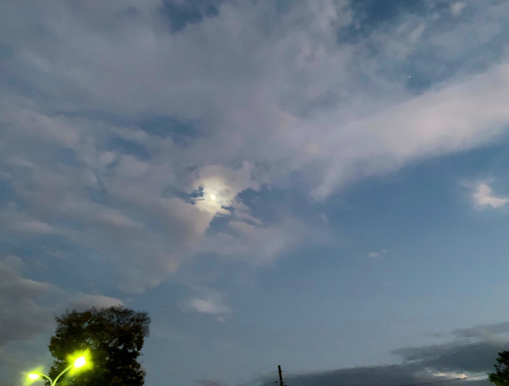 クリックで拡大(撮影:中野龍三)。