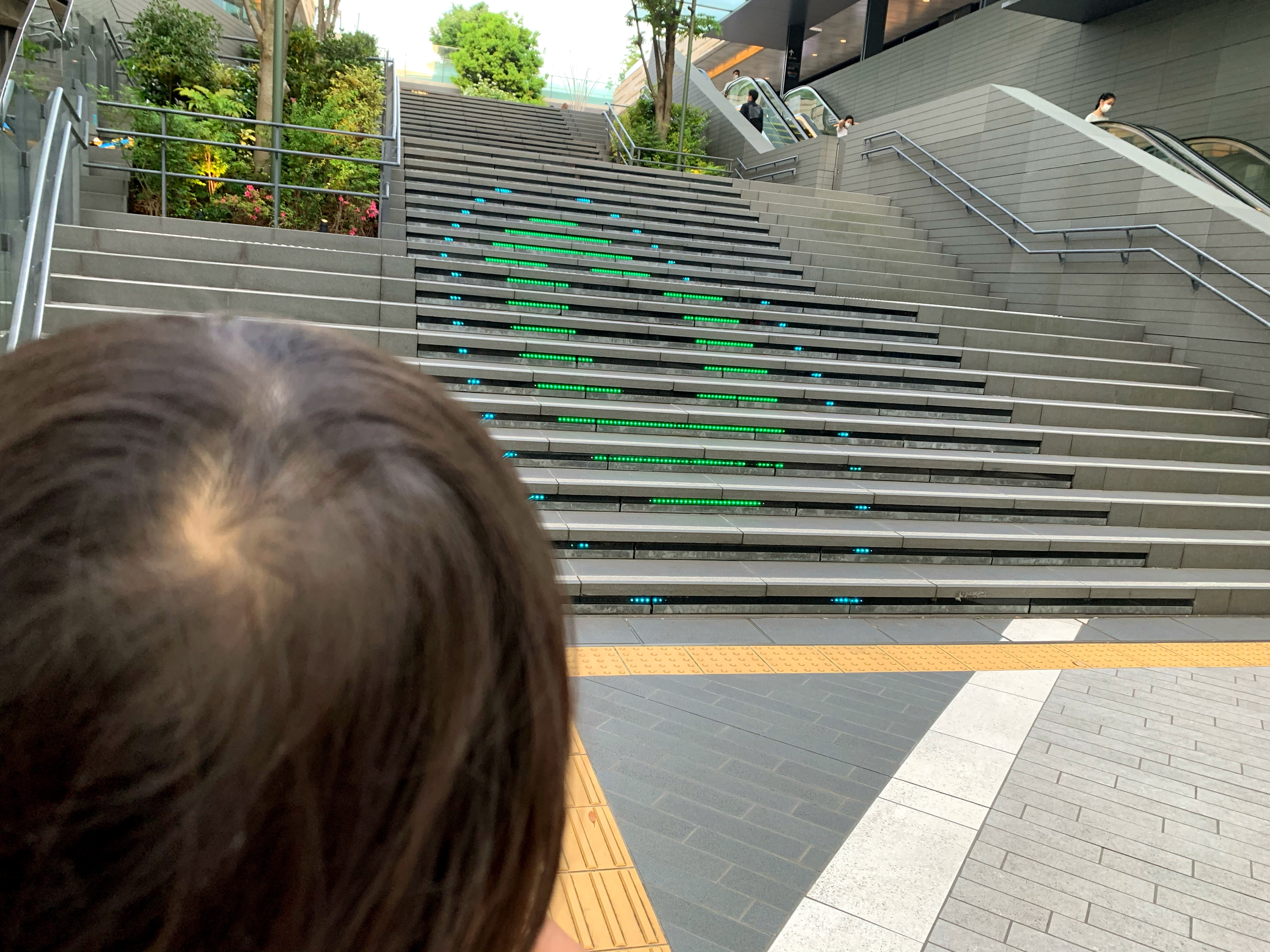 クリックで拡大(撮影:中野龍三)。