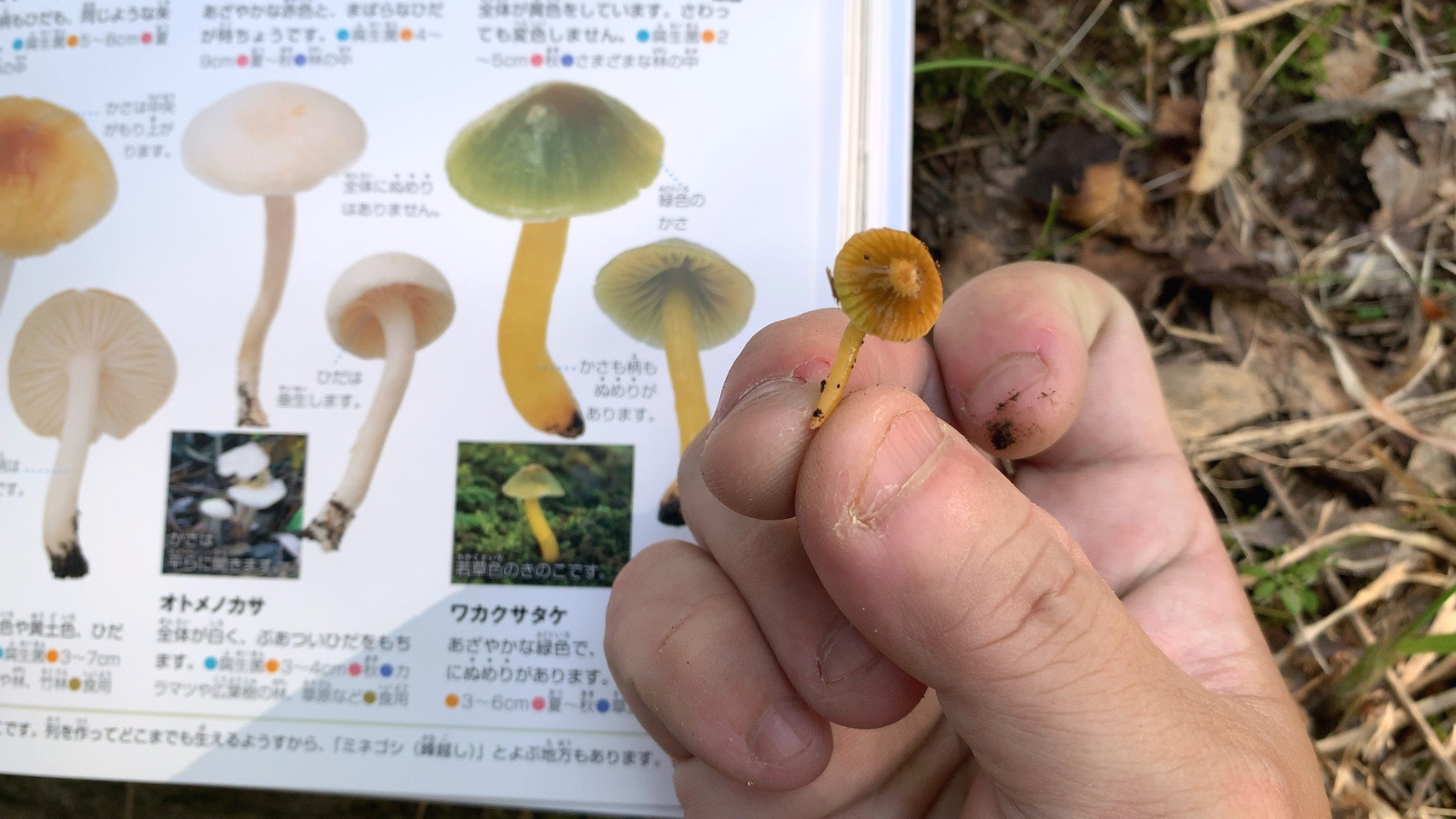 クリックで拡大(撮影:中野龍三)。