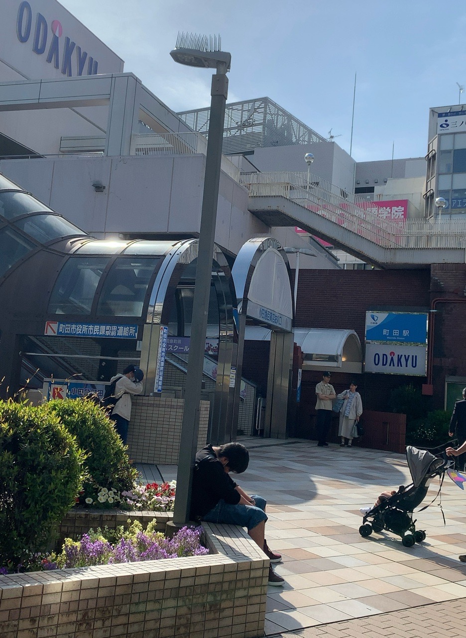 クリックで拡大(撮影:中野龍三)。
