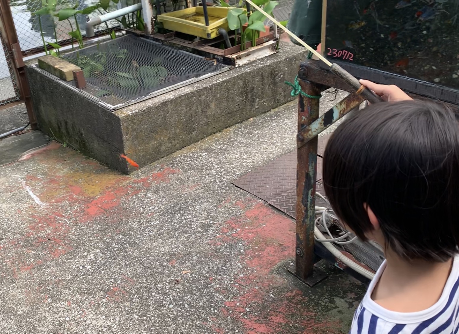 クリックで拡大(撮影:中野龍三)。