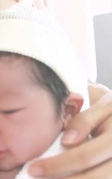 クリックで拡大(撮影:中野龍三)。
