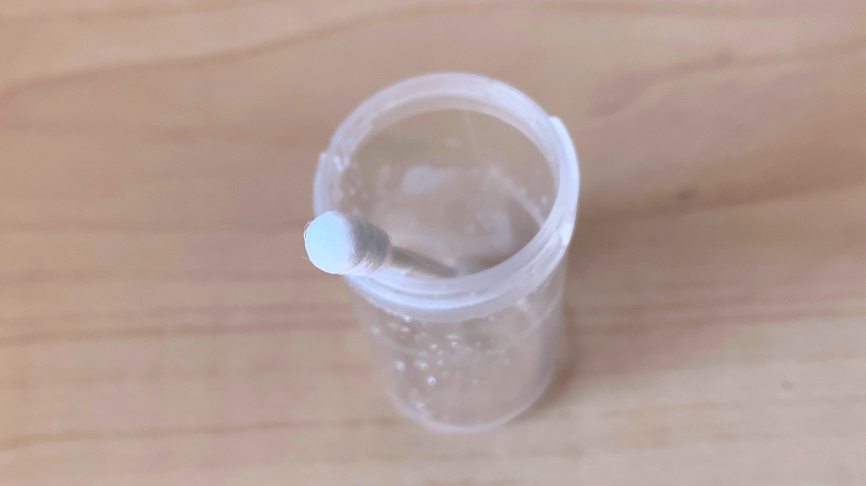 クリックで拡大（撮影：中野龍三）。