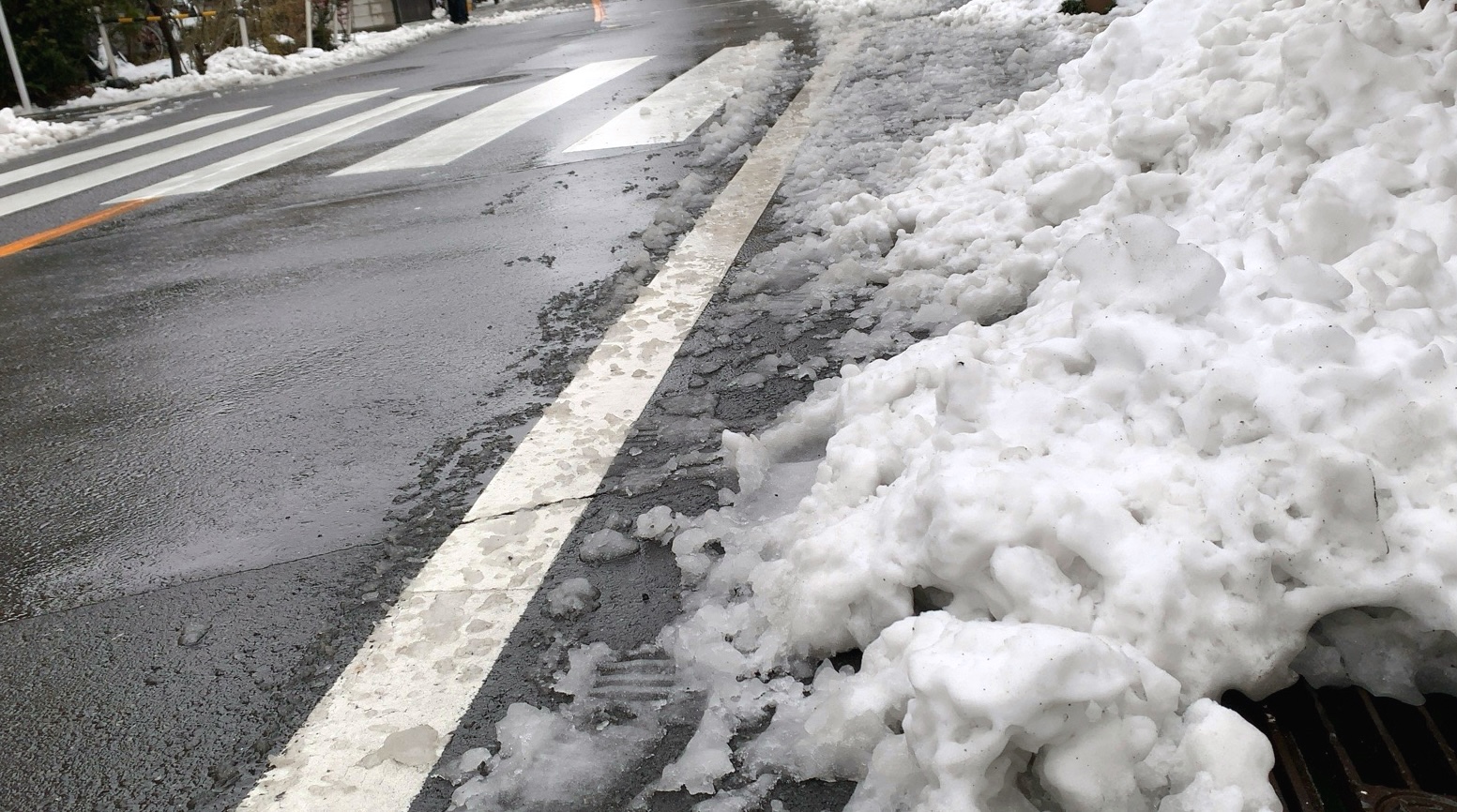 クリックで拡大（撮影：中野龍三）。