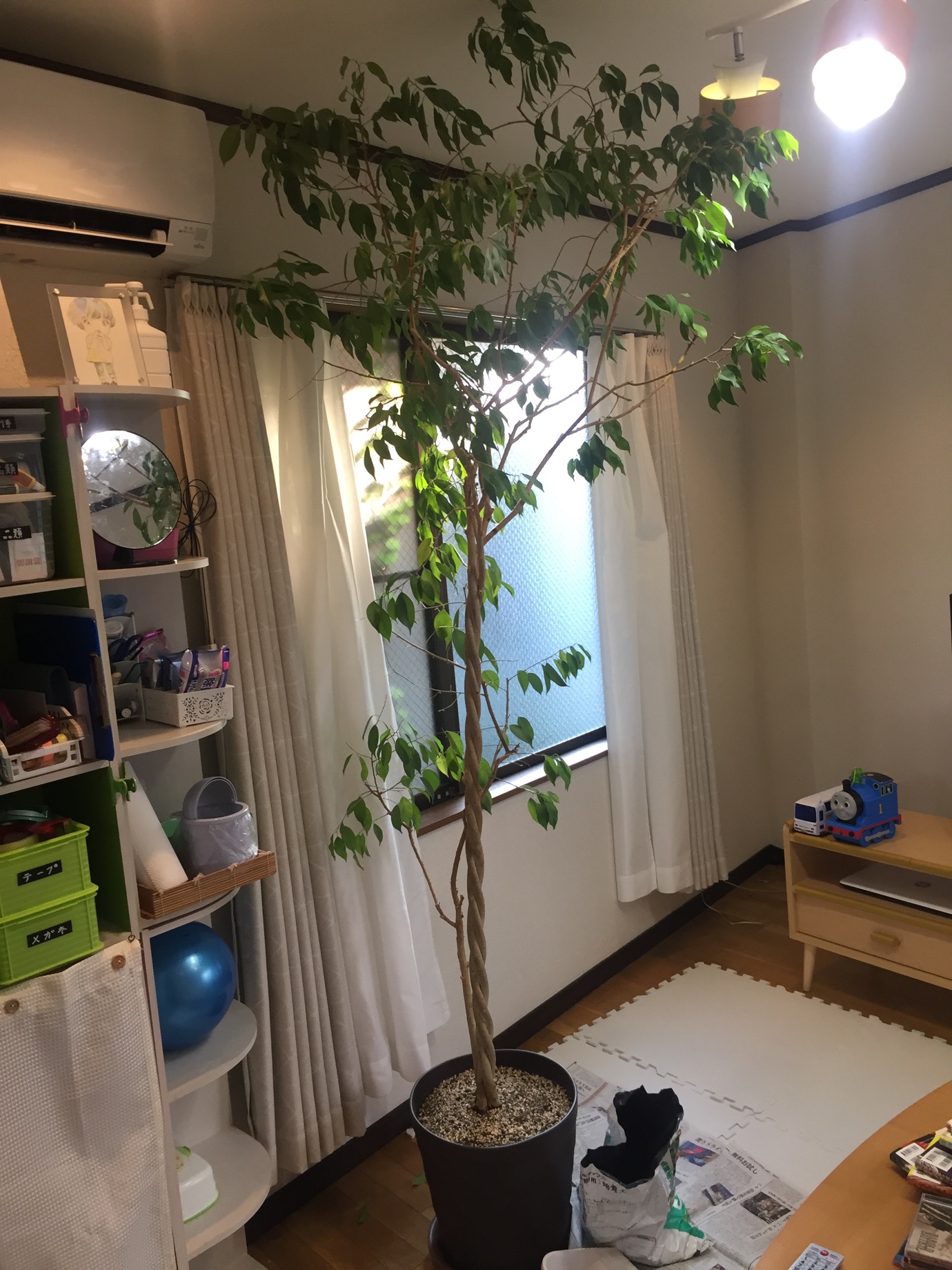 クリックで拡大(撮影:中野龍三)。