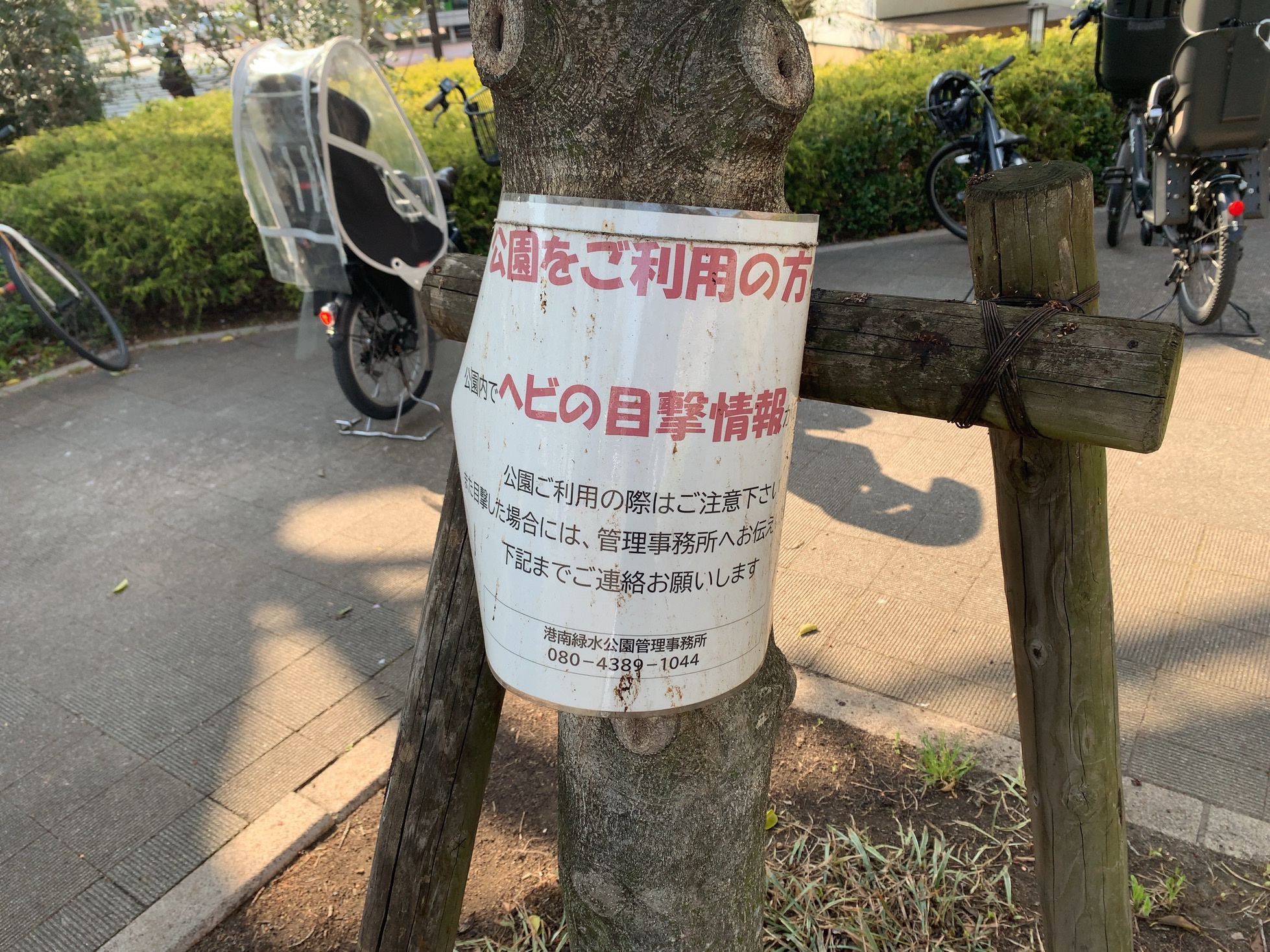 クリックで拡大(撮影:中野龍三)。