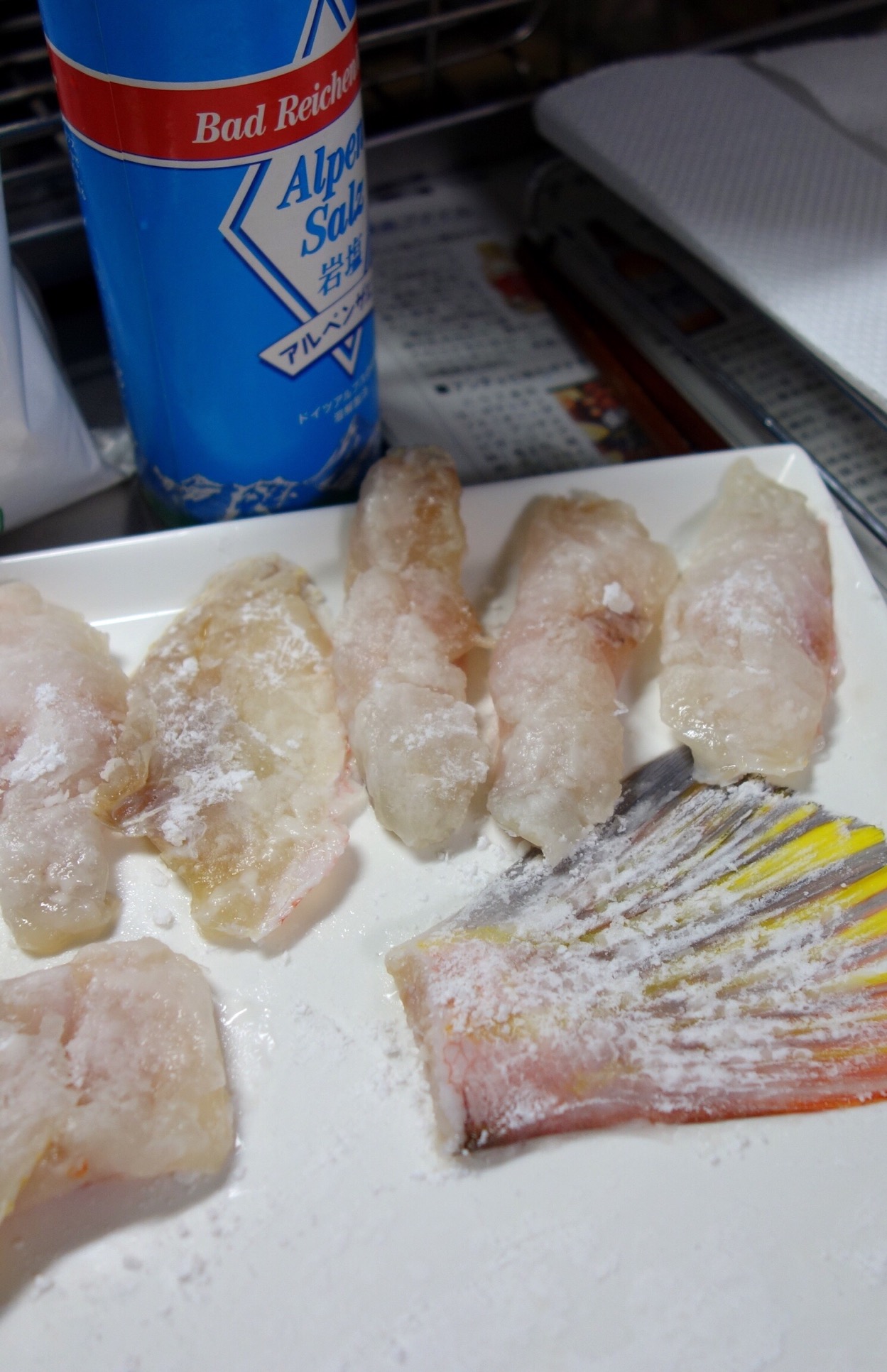 クリックで拡大(撮影:中野龍三)。