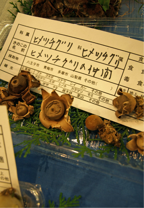 クリックで拡大。