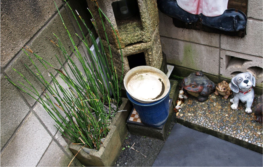クリックで拡大。