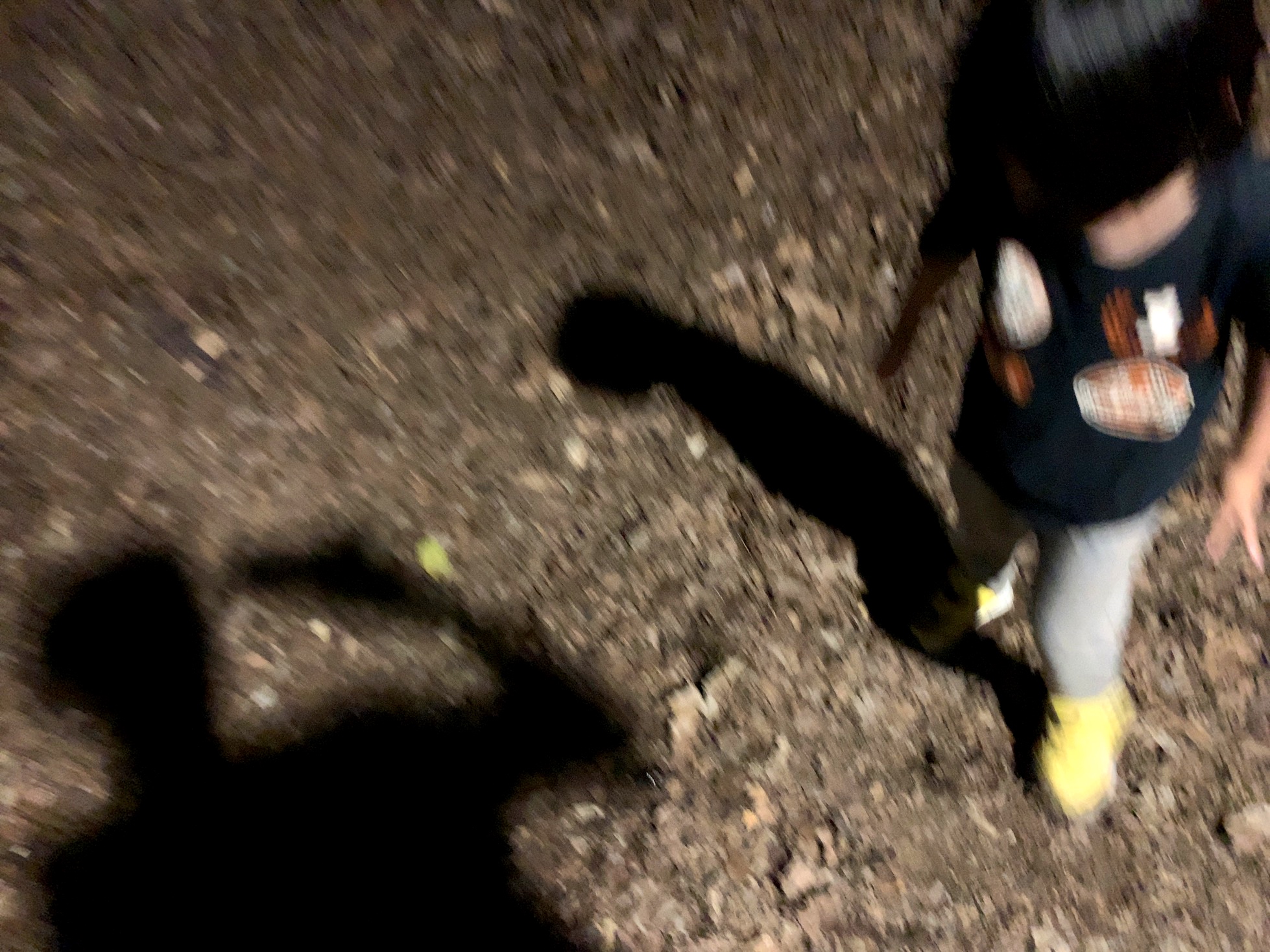 クリックで拡大(撮影:中野龍三)。